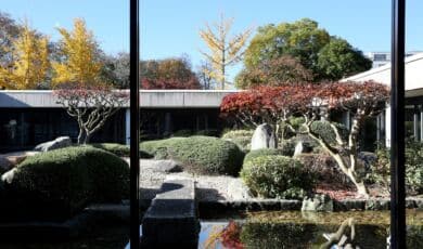 Blick in den japanischen Innengarten des Museums für Ostasiatische Kunst Köln