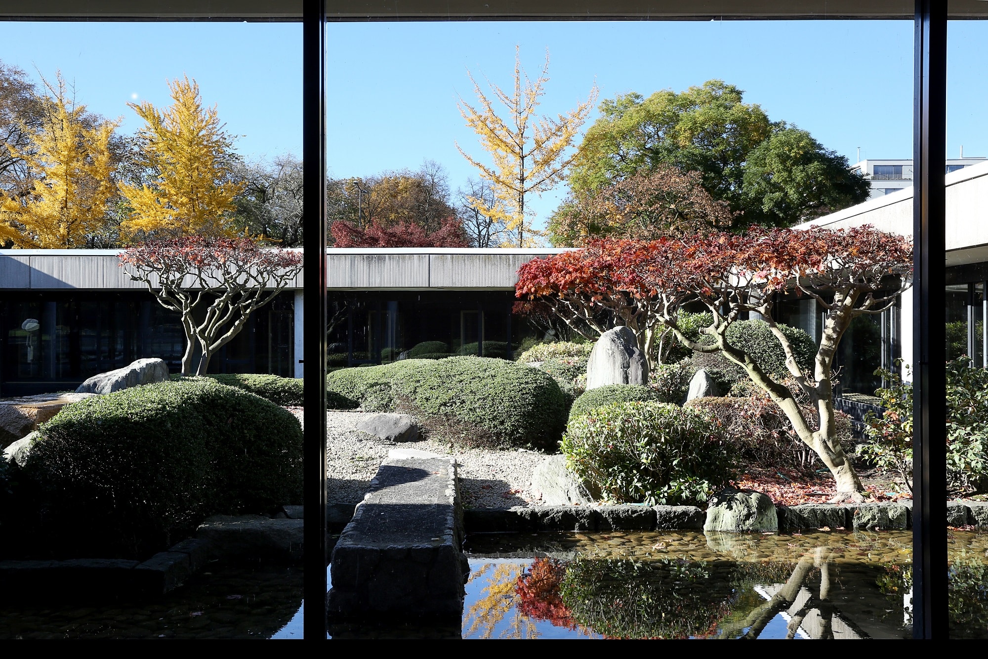 Blick in den japanischen Innengarten des Museums für Ostasiatische Kunst Köln