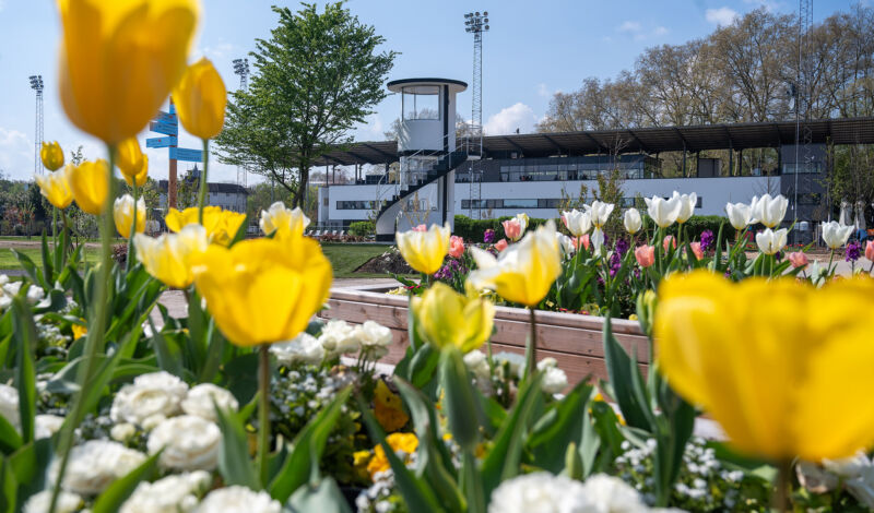 Landesgartenschau 2026 in Neuss