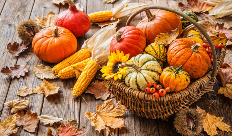 Kürbisse und Blätter verbreiten Herbststimmung