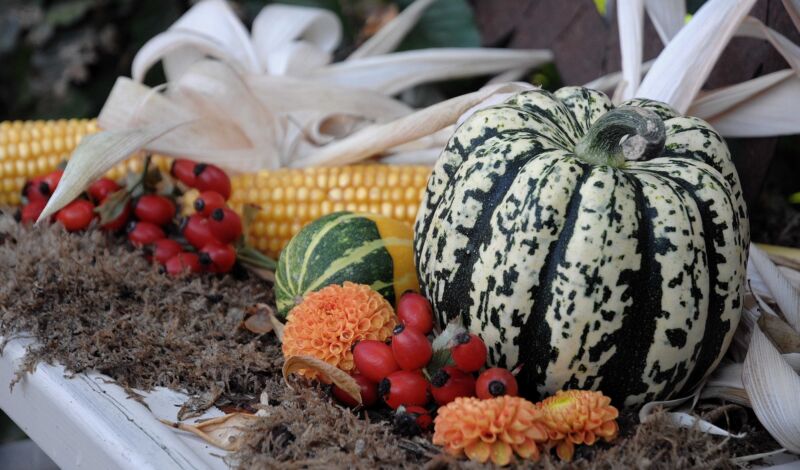 herbstliche Deko mit Kürbis