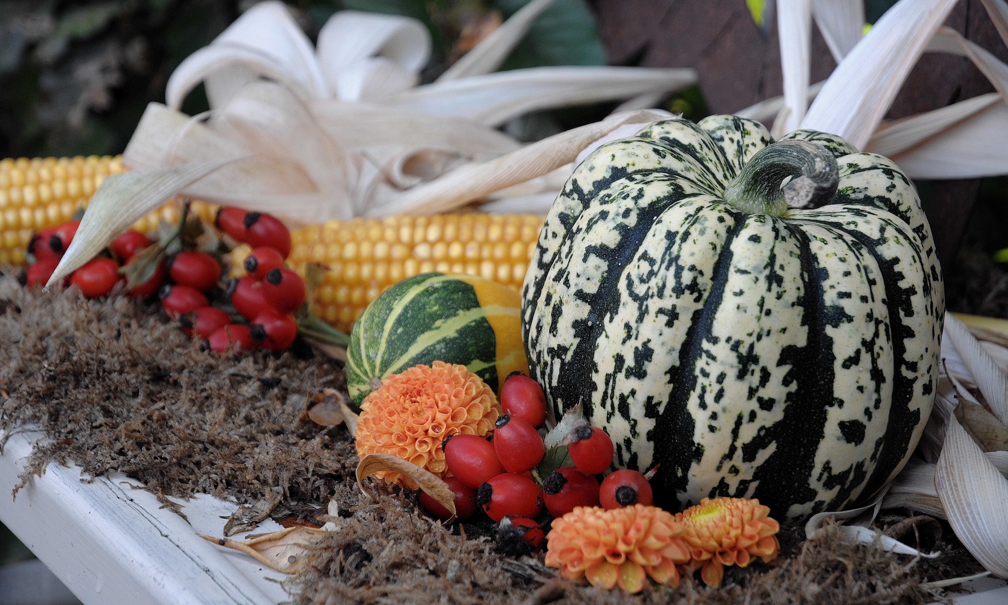 herbstliche Deko mit Kürbis