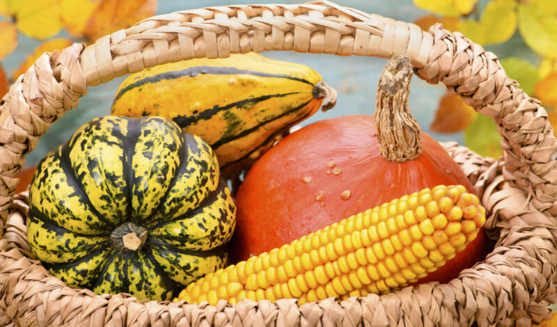 Herbstliche Deko mit Kürbissen in einem Flechtkorb