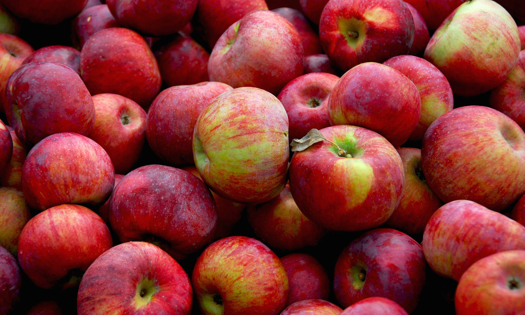 Äpfel