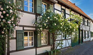 Frontansicht eines Fachwerkhauses im Städtchen Liedberg mit Rosenpflanzen vor den Fenstern.
