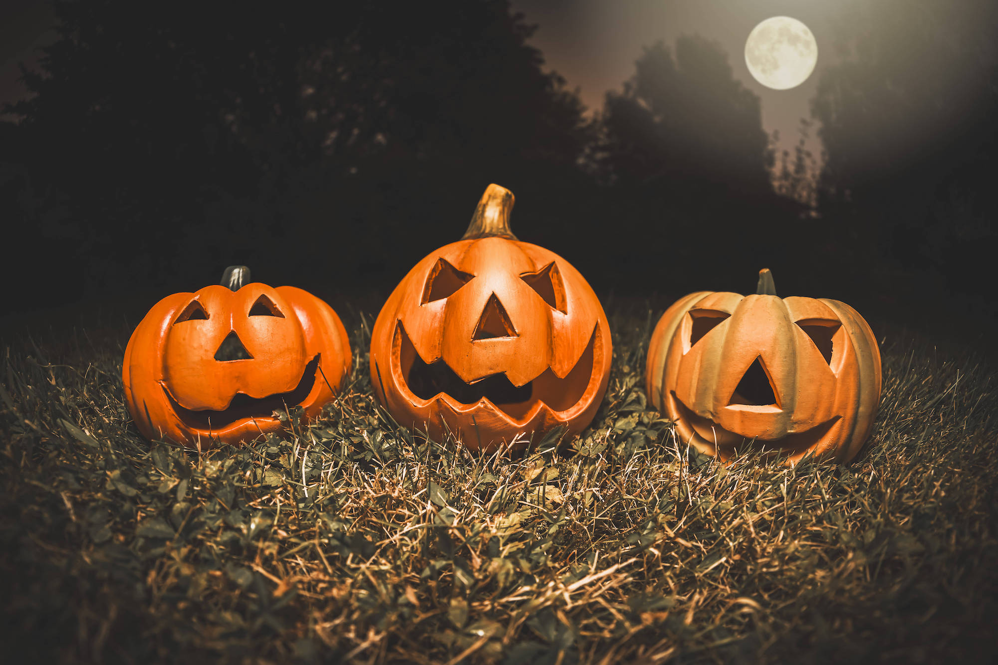 HalloweenEvents 2024 in Köln und Umgebung koeln.de