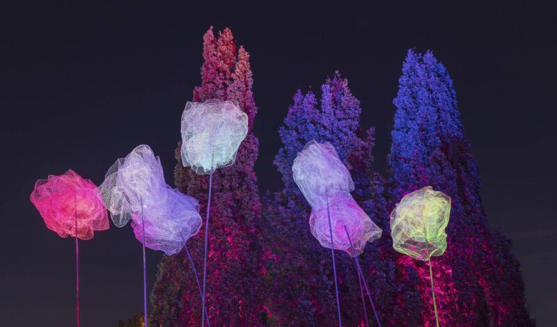 Herbstlichter im Brückenkopfpark Jülich
