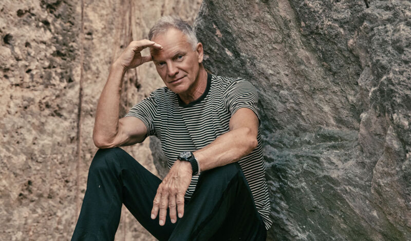 Der Musiker Sting sitzt vor einer Felswand.
