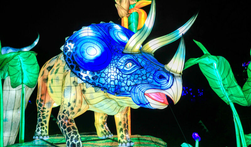 Leuchtende Figur während China Lights im Kölner Zoo