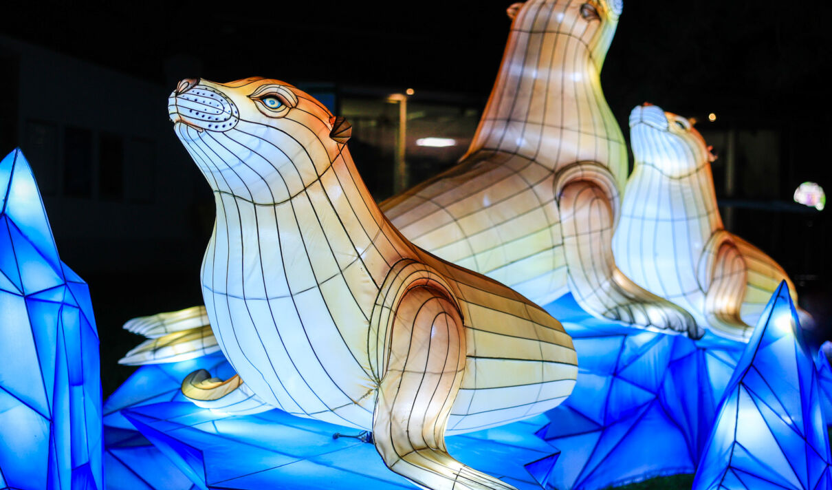 Leuchtende Figur während China Lights im Kölner Zoo