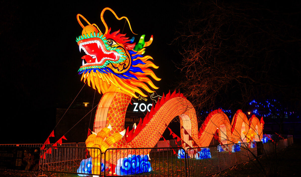 Leuchtende Figur während China Lights im Kölner Zoo