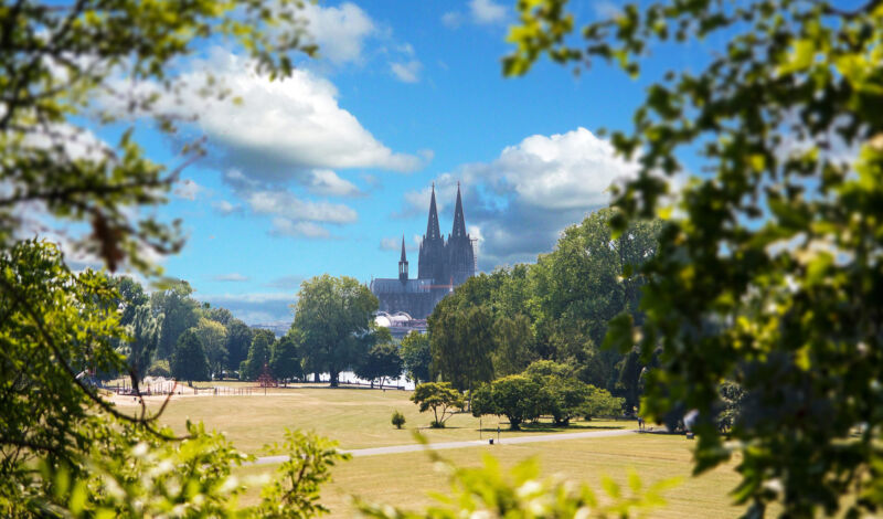 Domblick aus dem Rheinpark in Köln