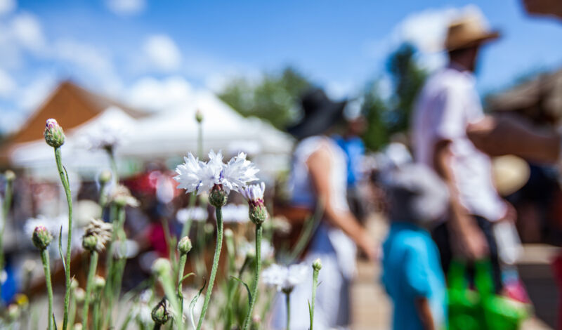 Blumen auf Markt