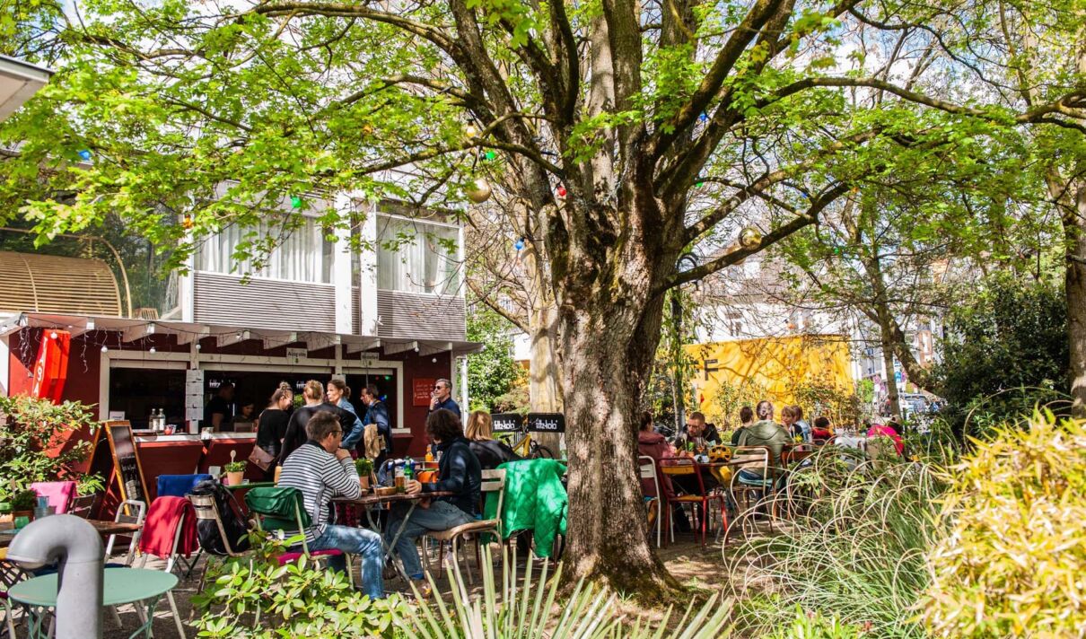 Palmengarten in der Stadthall Kölm