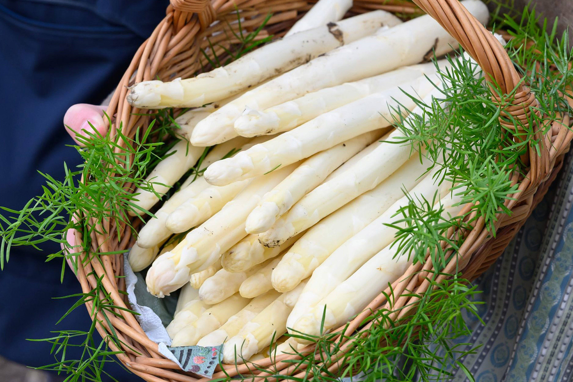 Frisch geernteter Deutscher Spargel in einem geflochtenen Korb