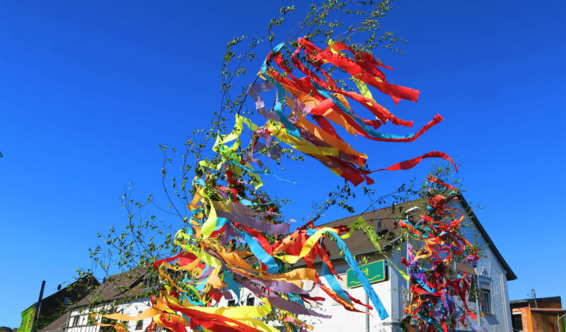 Ein Maibaum mit bunten Bändern steht vor einem Haus