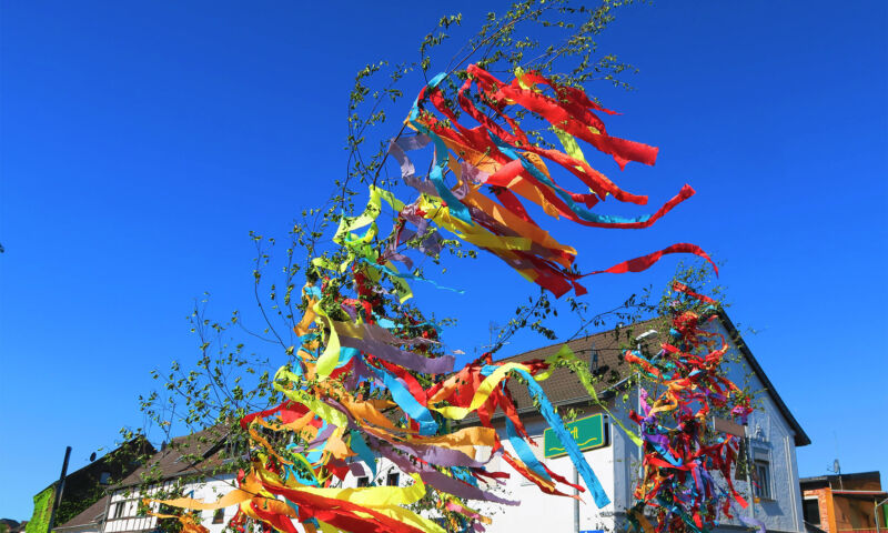 Ein Maibaum mit bunten Bändern steht vor einem Haus