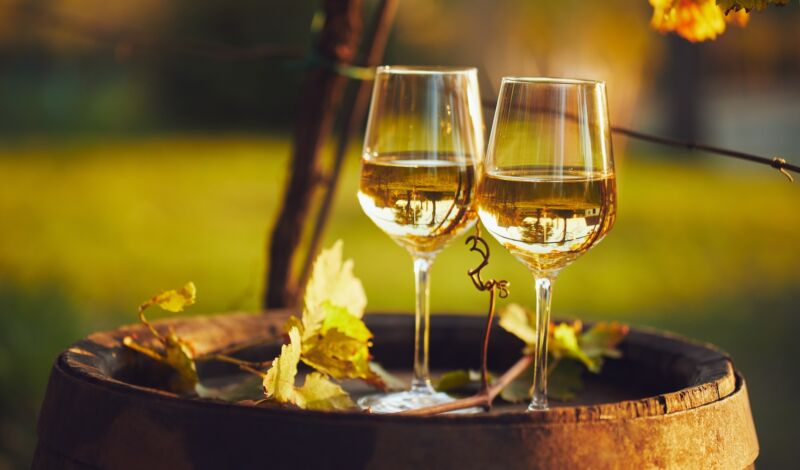 Zwei Gläser Weißwein auf einem Wein