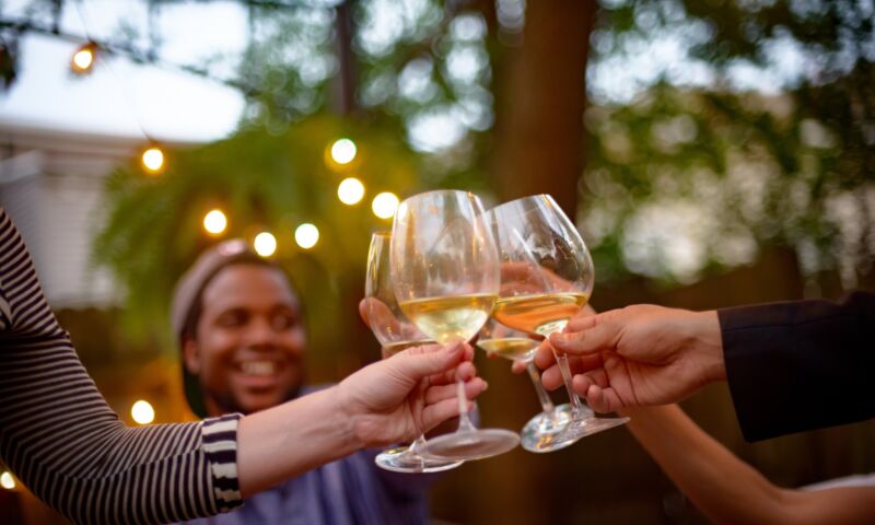 Gruppe Menschen stößt in einem Garten mit Weißwein an