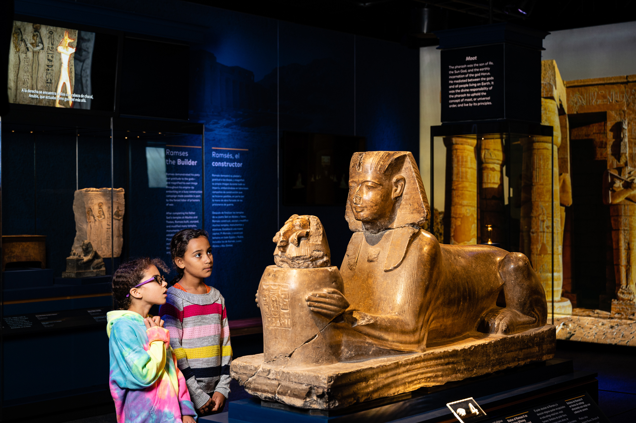Ramses & das Gold der Pharaonen Ausstellung