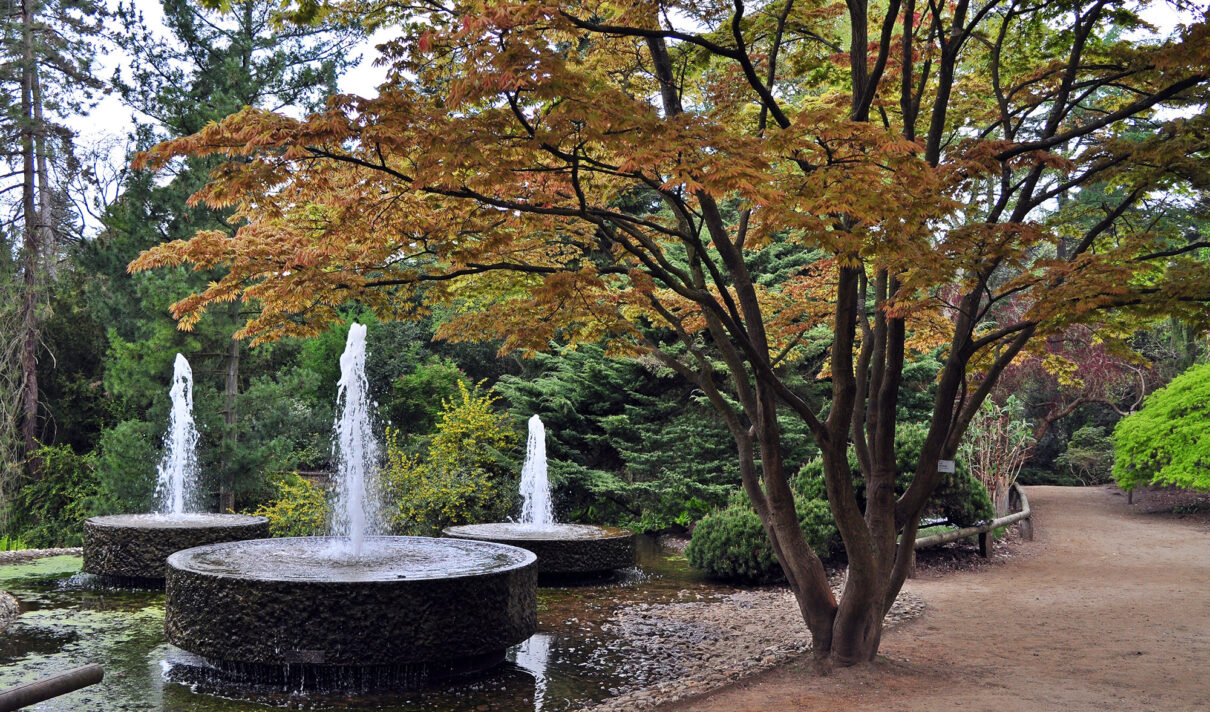 Forstbotanischer Garten in Köln koeln.de