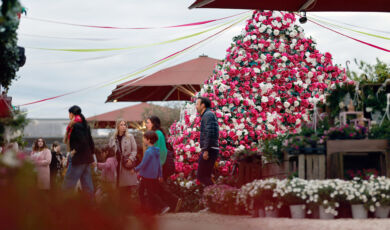 Blumenpyramide auf dem Gertrudenhof in Hürth