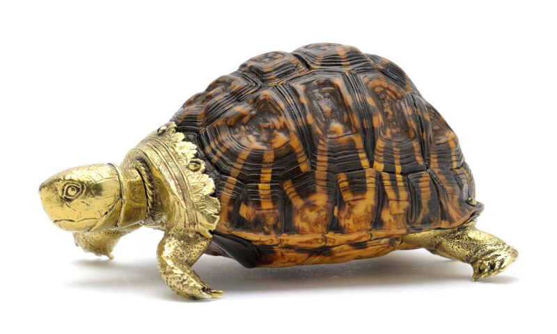 Pulverflasche in Schildkrötenform, Süddeutschland, um 1620,