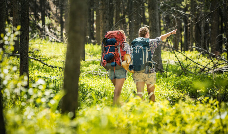 Zwei Wandere im Wald