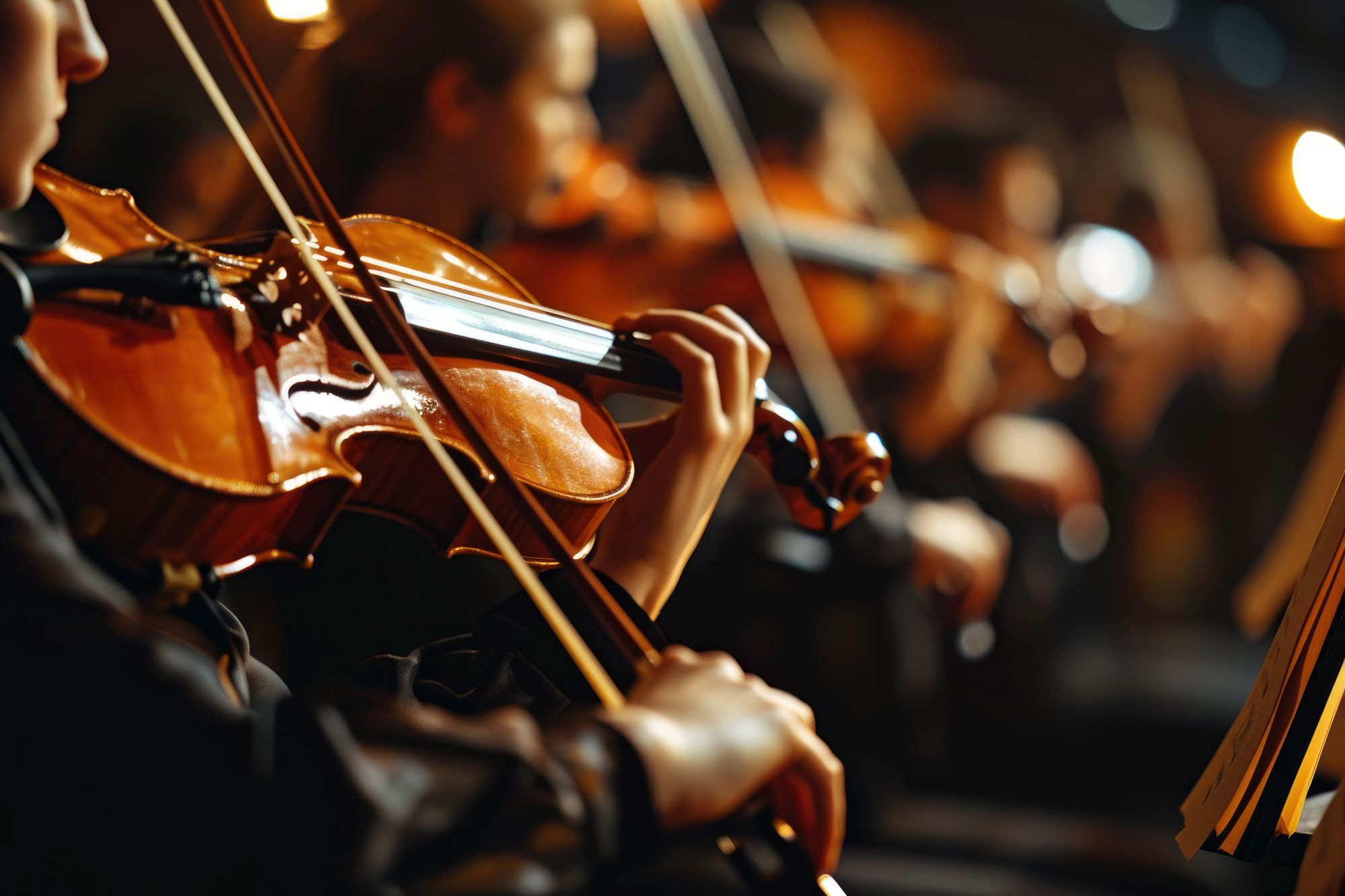 Streicher spielen auf ihren Streichinstrumenten