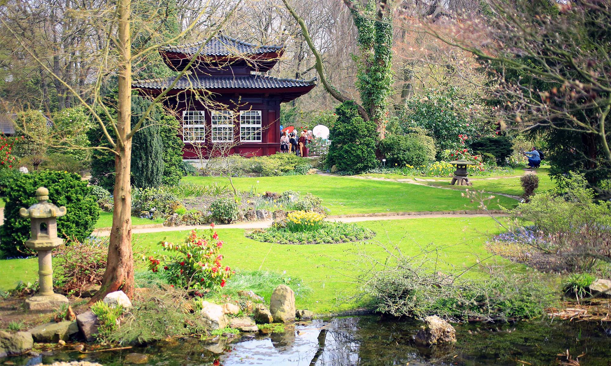 Frühling im Japanischen Garten im Kölner Stadtteil Flittard am ganz im Kölner Norden.
