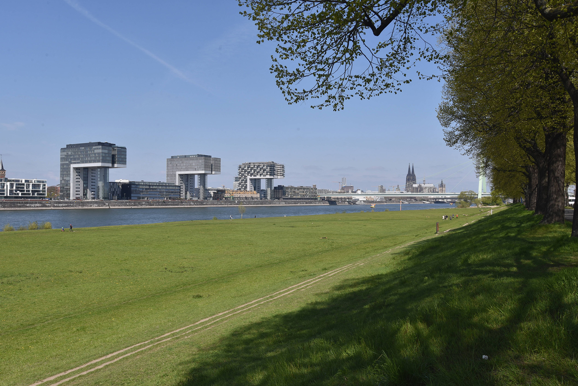 Köln Stadtansicht: Kranhäuser am Rheinauhafen mit Rhein, Kölner Dom und die Poller Wiesen