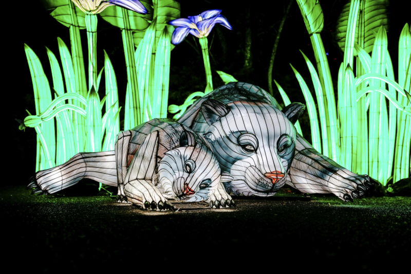Leuchtende Figur während China Lights im Kölner Zoo