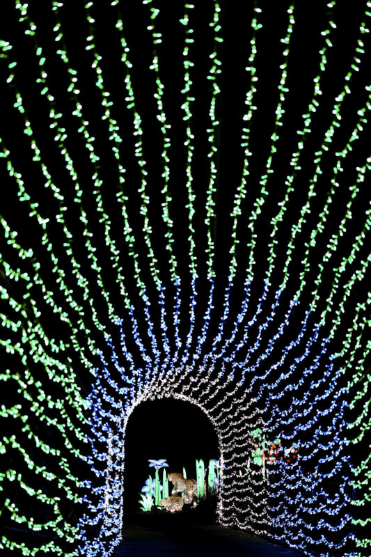 Leuchtende Figur während China Lights im Kölner Zoo