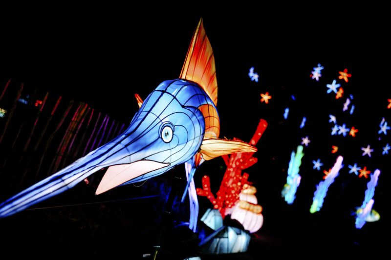 Leuchtende Figur während China Lights im Kölner Zoo