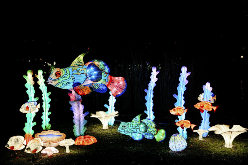 Leuchtende Figur während China Lights im Kölner Zoo