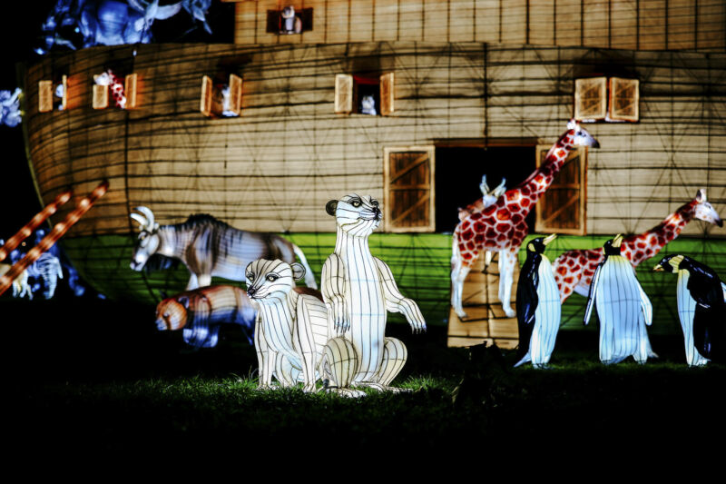 Leuchtende Figur während China Lights im Kölner Zoo