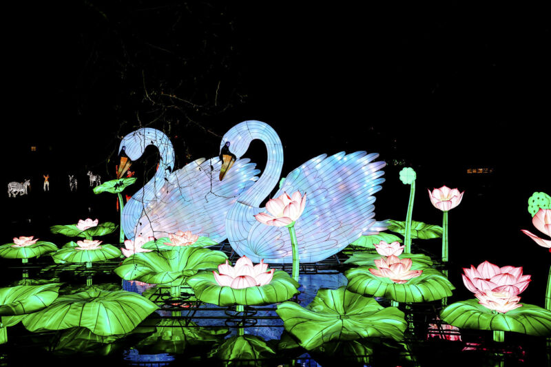 Leuchtende Figur während China Lights im Kölner Zoo