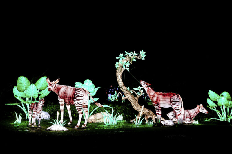 Leuchtende Figur während China Lights im Kölner Zoo