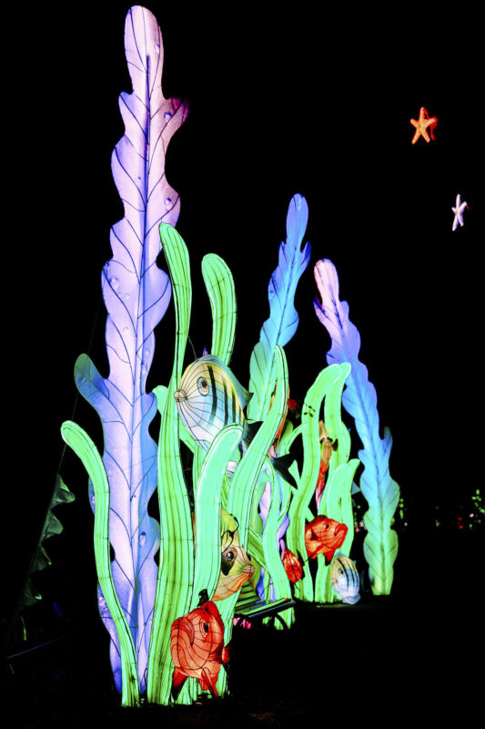 Leuchtende Figur während China Lights im Kölner Zoo