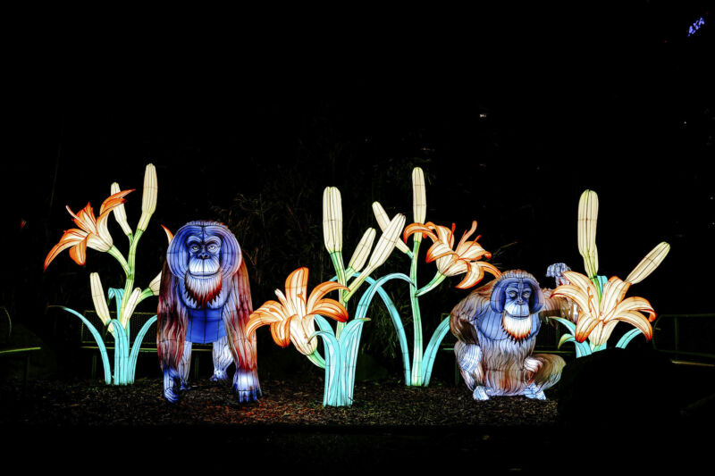 Leuchtende Figur während China Lights im Kölner Zoo