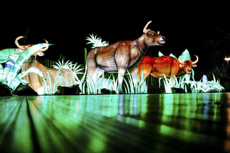 Leuchtende Figur während China Lights im Kölner Zoo