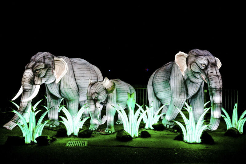 Leuchtende Figur während China Lights im Kölner Zoo