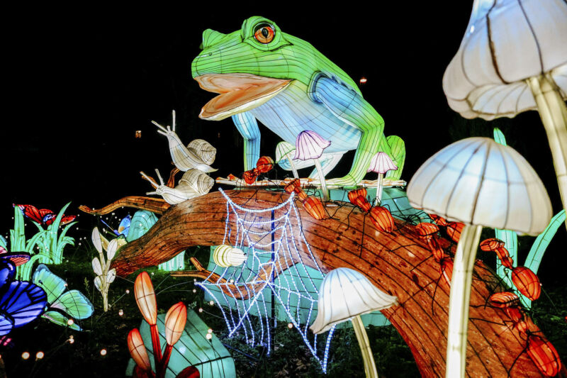 Leuchtende Figur während China Lights im Kölner Zoo