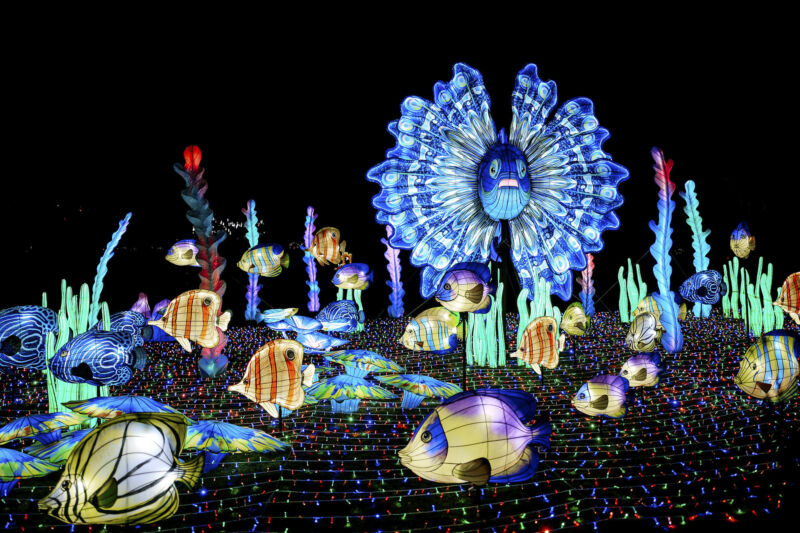 Leuchtende Figur während China Lights im Kölner Zoo