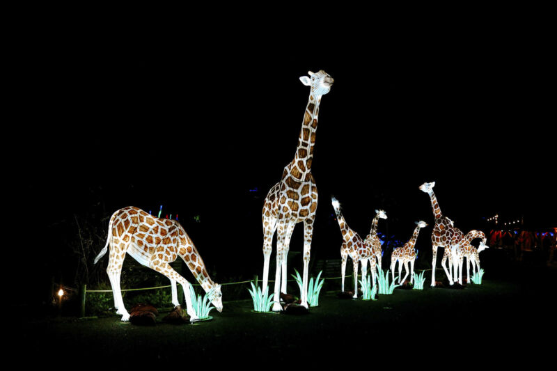 Leuchtende Figur während China Lights im Kölner Zoo
