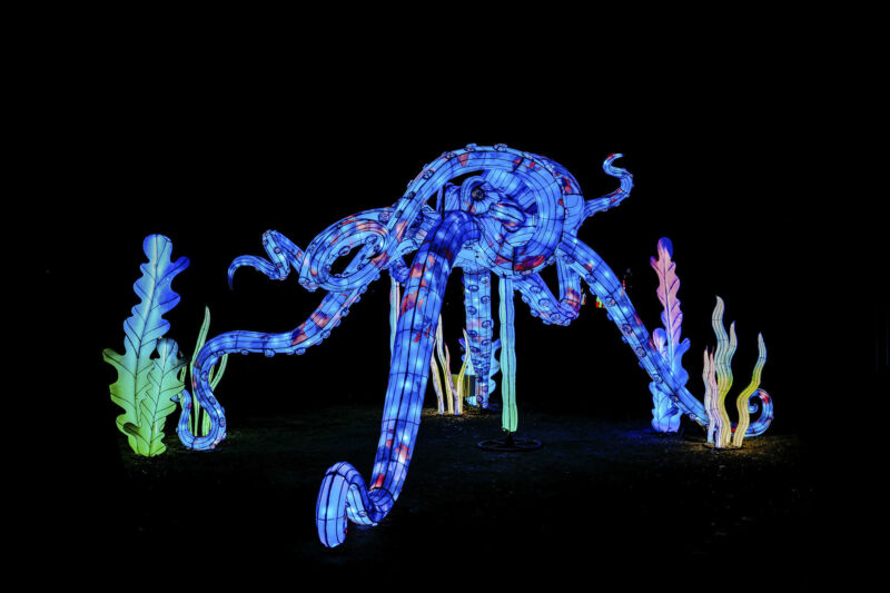 Leuchtende Figur während China Lights im Kölner Zoo
