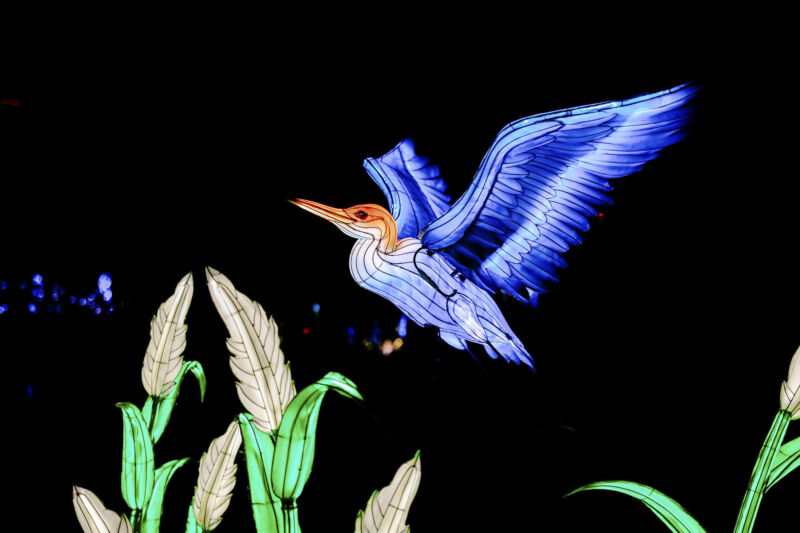 Leuchtende Figur während China Lights im Kölner Zoo
