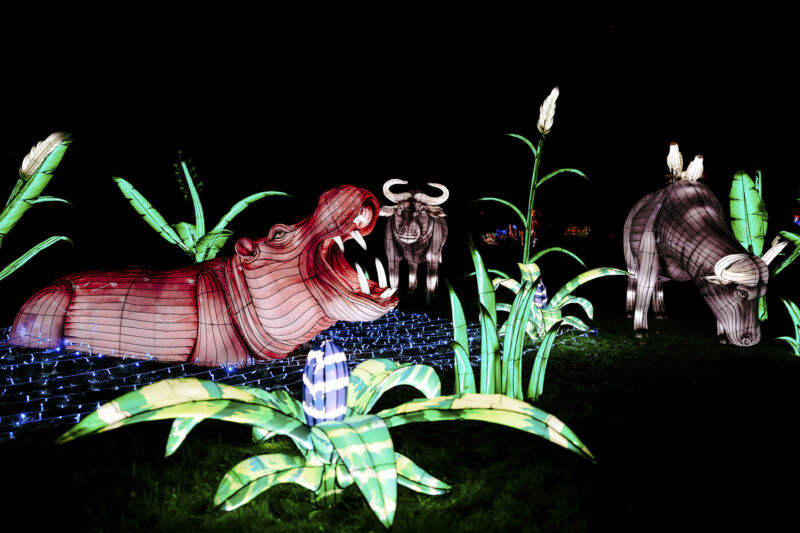 Leuchtende Figur während China Lights im Kölner Zoo
