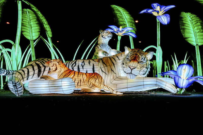 Leuchtende Figur während China Lights im Kölner Zoo