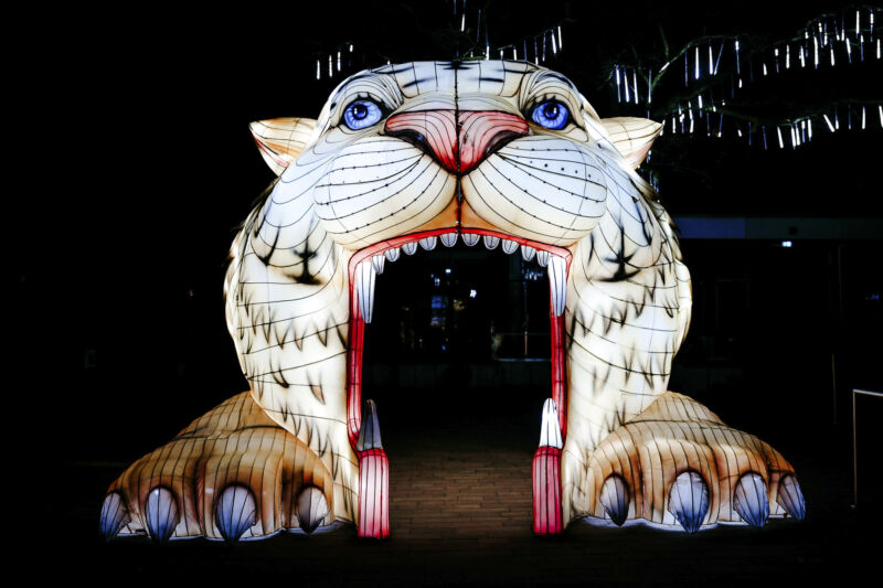Leuchtende Figur während China Lights im Kölner Zoo